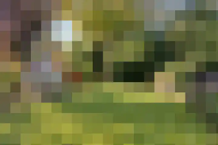 Bekerbaan 13 b Schimmert thumbnail 27