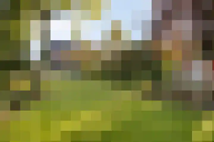 Bekerbaan 13 b Schimmert thumbnail 28