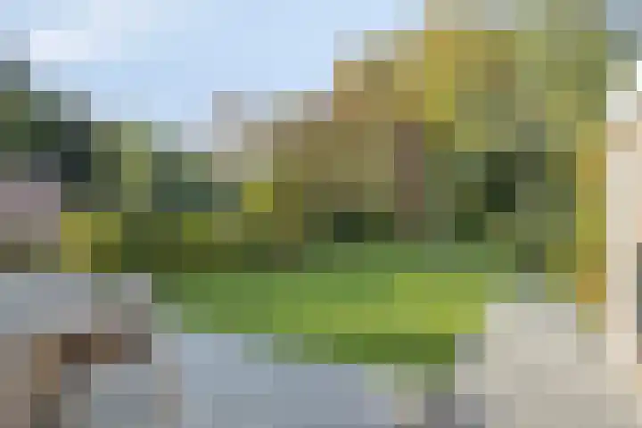 Bekerbaan 13 b Schimmert thumbnail 4