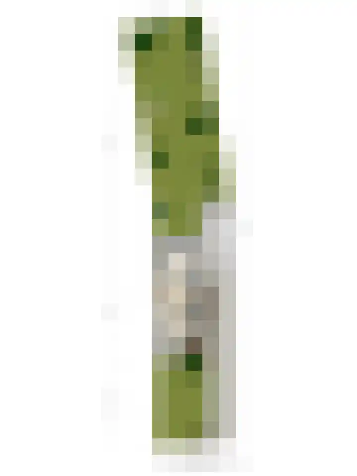 Bekerbaan 13 b Schimmert thumbnail 56