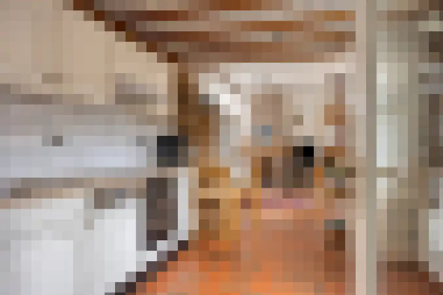 Bekerbaan 37 Schimmert thumbnail 19