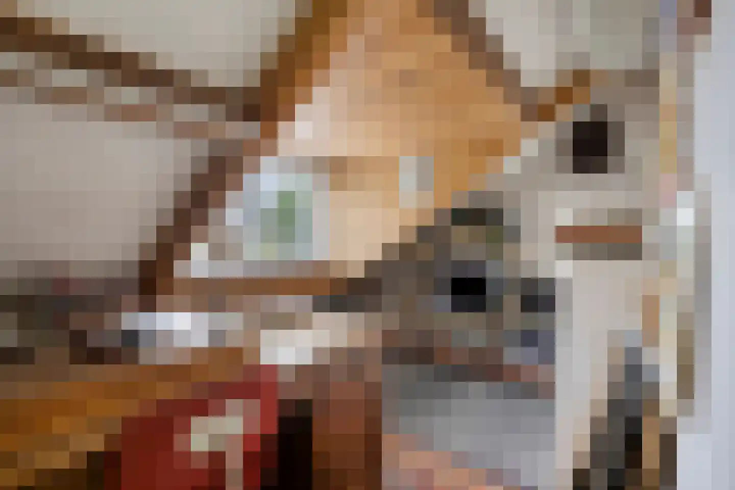Bekerbaan 37 Schimmert thumbnail 31