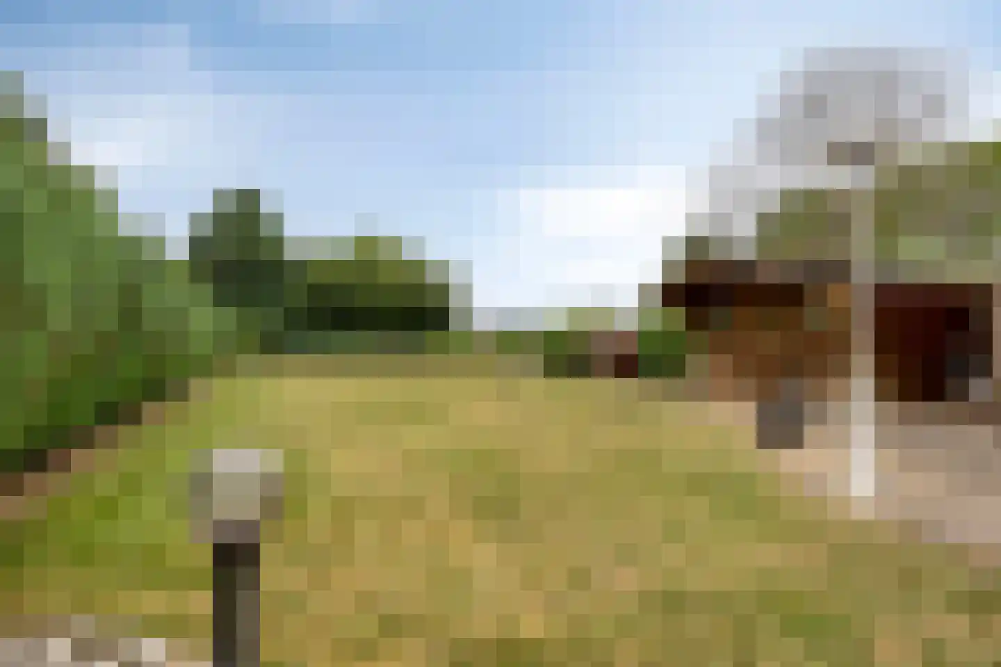 Bekerbaan 37 Schimmert thumbnail 39