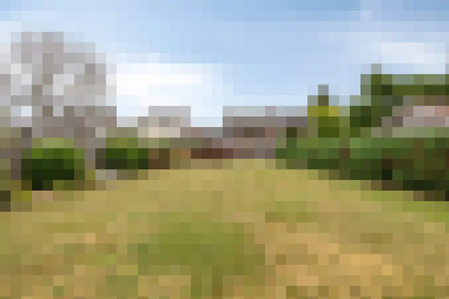 Bekerbaan 37 Schimmert thumbnail 5