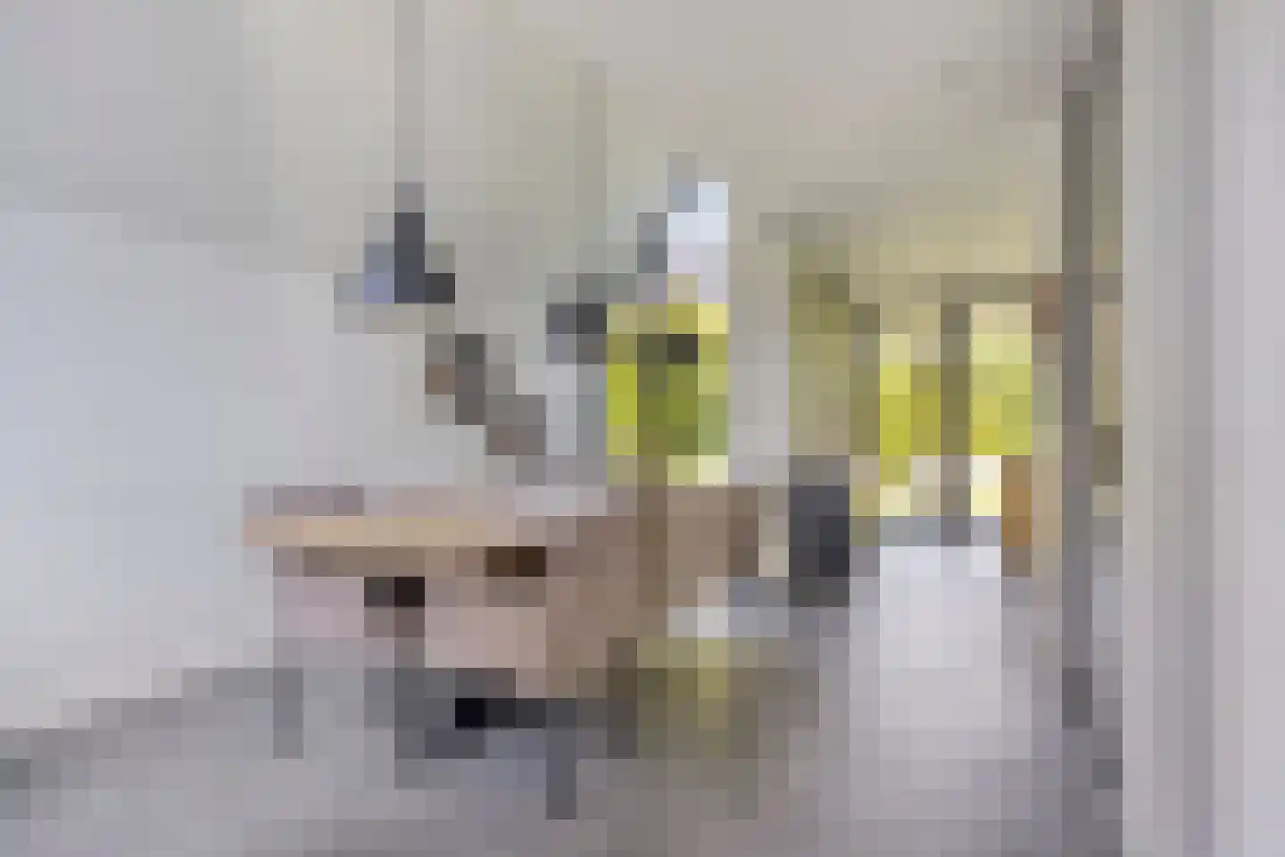 Bekerpad 6 Oss thumbnail 10
