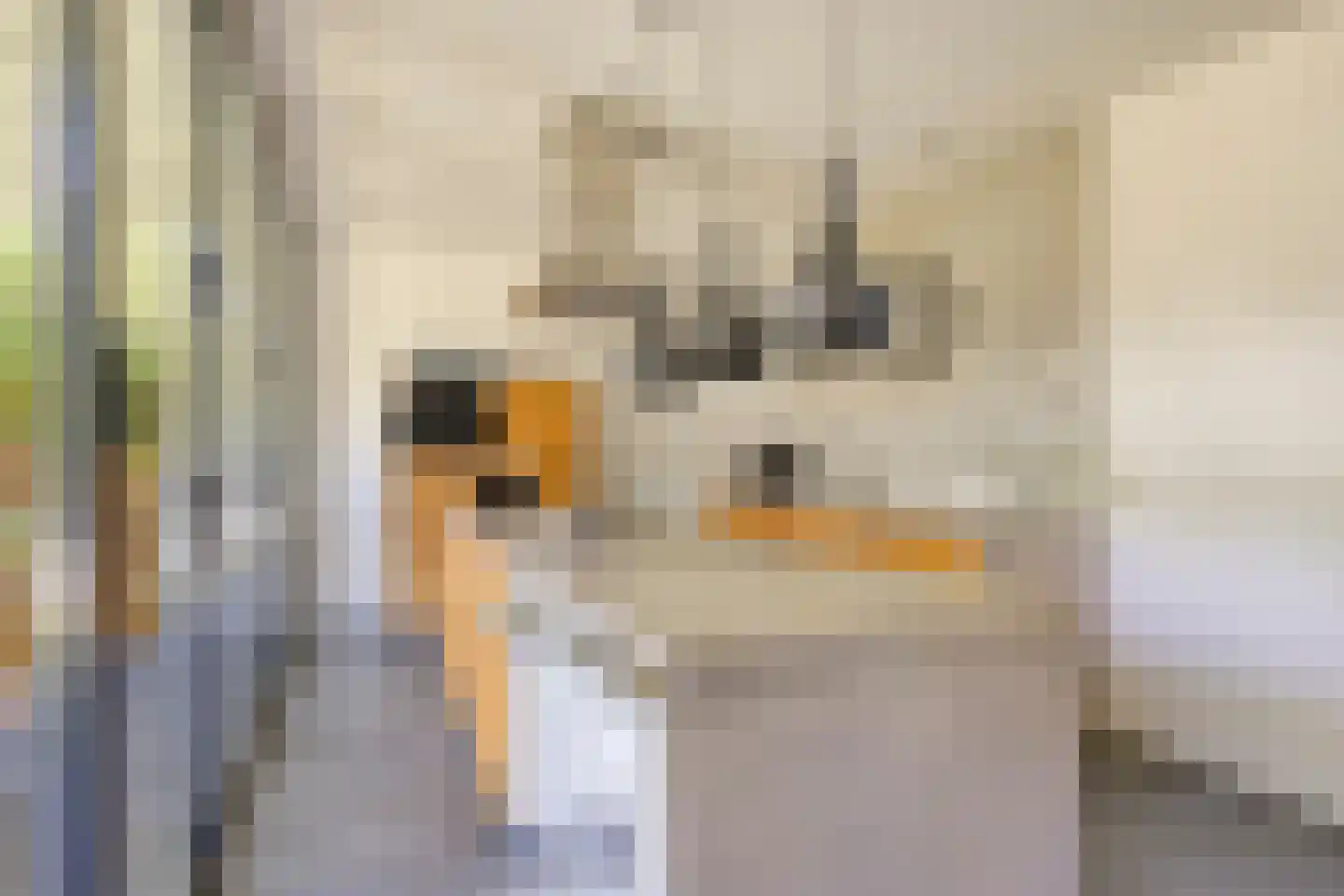 Bekerpad 6 Oss thumbnail 16