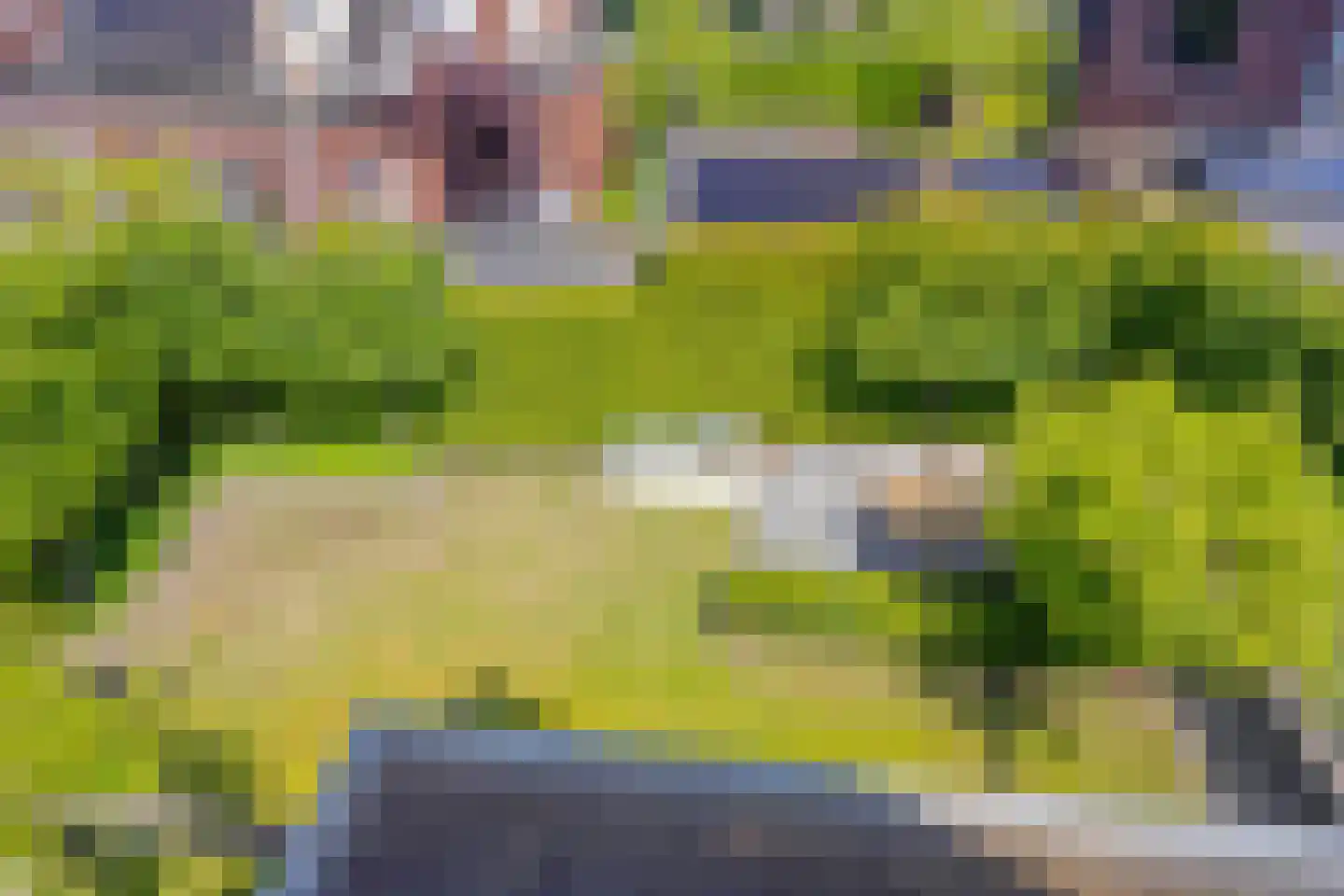 Bekerpad 6 Oss thumbnail 42