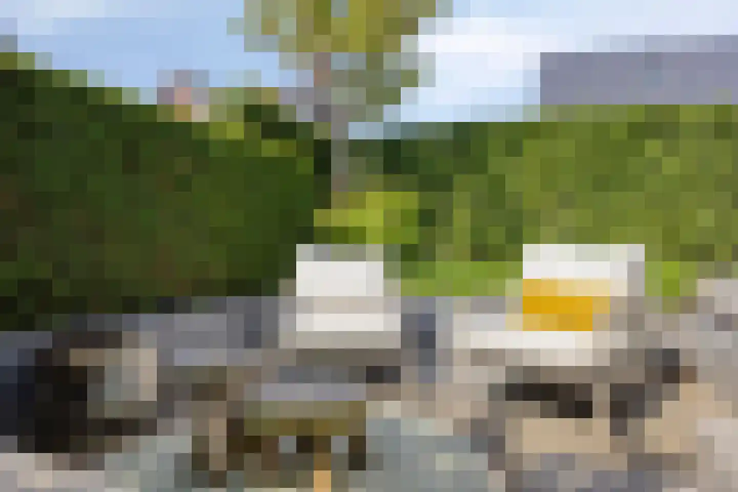 Bekerpad 6 Oss thumbnail 57