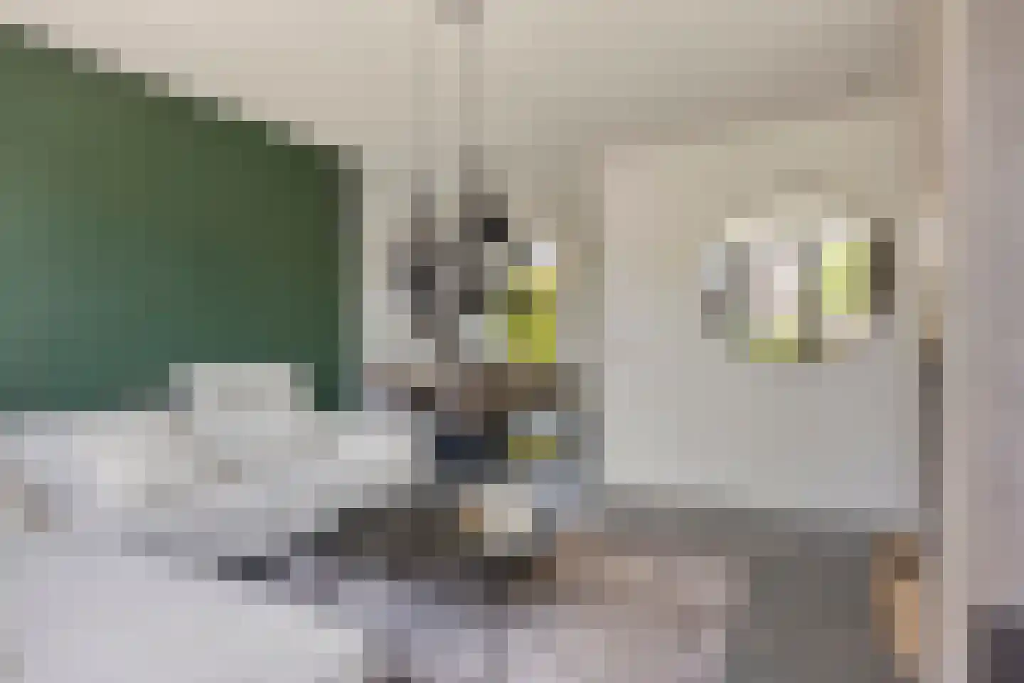 Bekerpad 6 Oss thumbnail 8