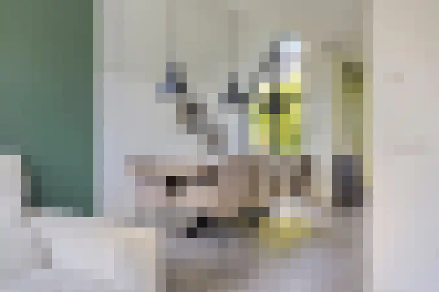 Bekerpad 6 Oss thumbnail 9