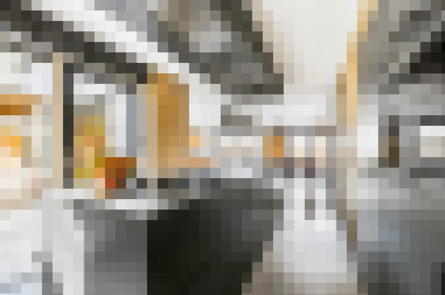 Bekerstraat 12 Den Haag thumbnail 22