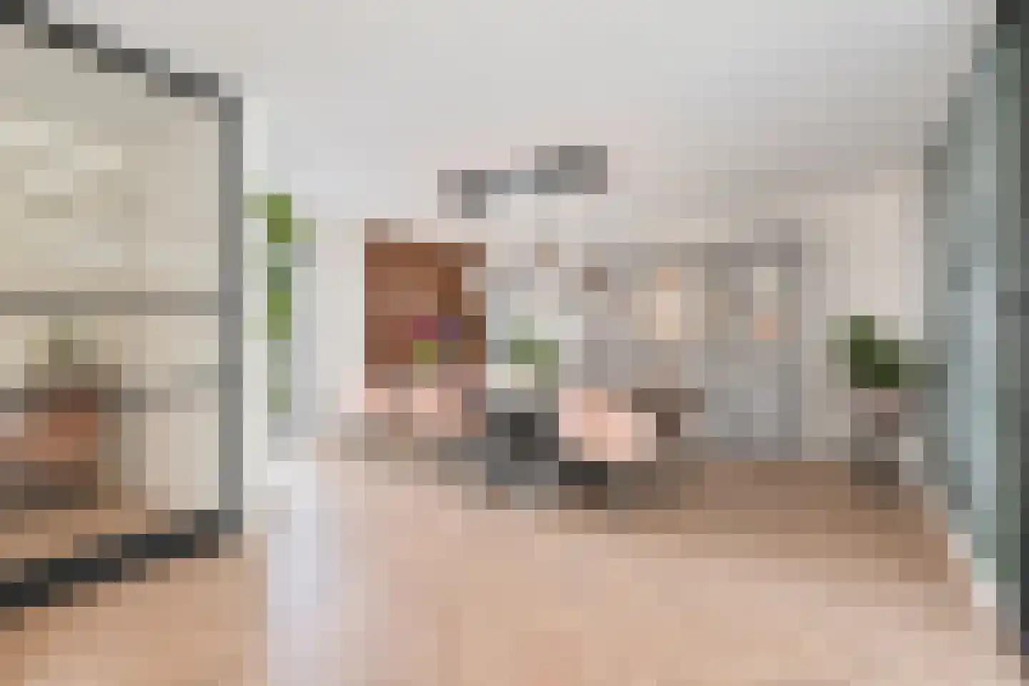 Bekerstraat 6 Den Haag thumbnail 6