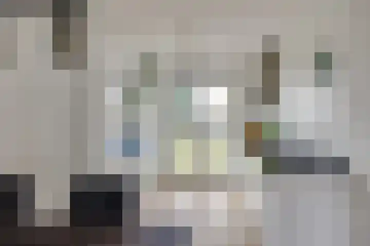 Bekerzwamsingel 3 Vleuten thumbnail 12
