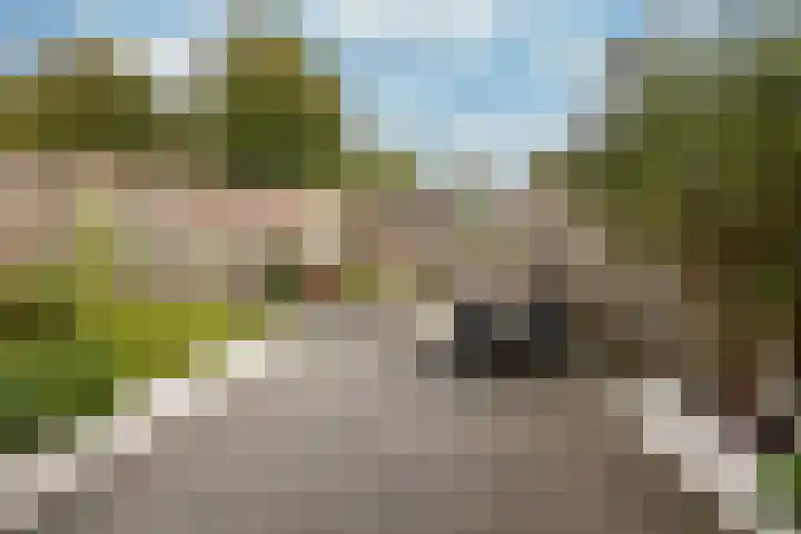 Bekerzwamsingel 3 Vleuten thumbnail 15