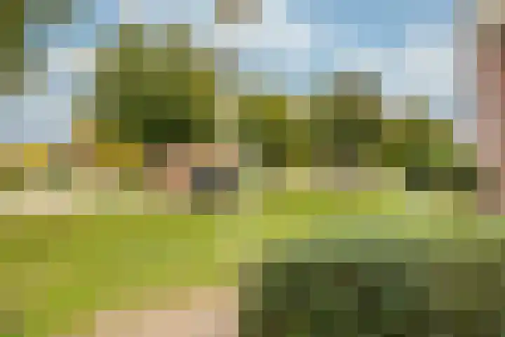 Bekerzwamsingel 3 Vleuten thumbnail 16