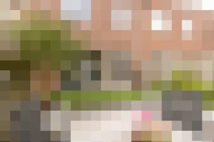 Bekerzwamsingel 3 Vleuten thumbnail 18