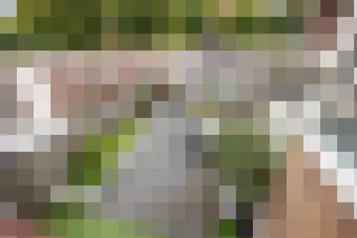Bekerzwamsingel 3 Vleuten thumbnail 23