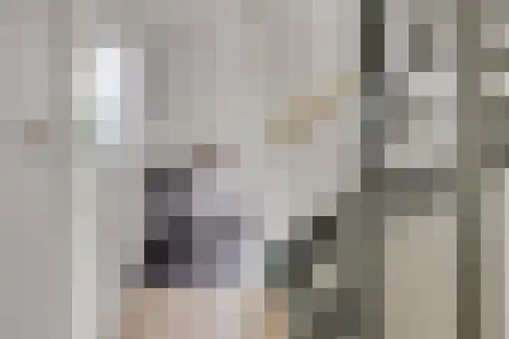 Bekerzwamsingel 3 Vleuten thumbnail 24