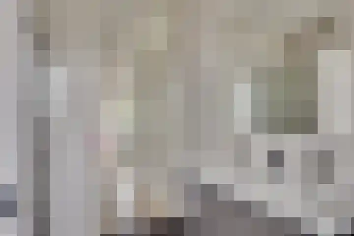 Bekerzwamsingel 3 Vleuten thumbnail 26