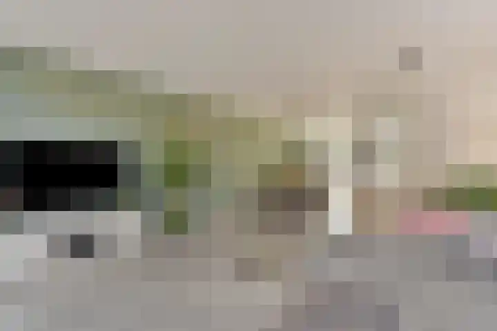 Bekerzwamsingel 6 Vleuten thumbnail 17