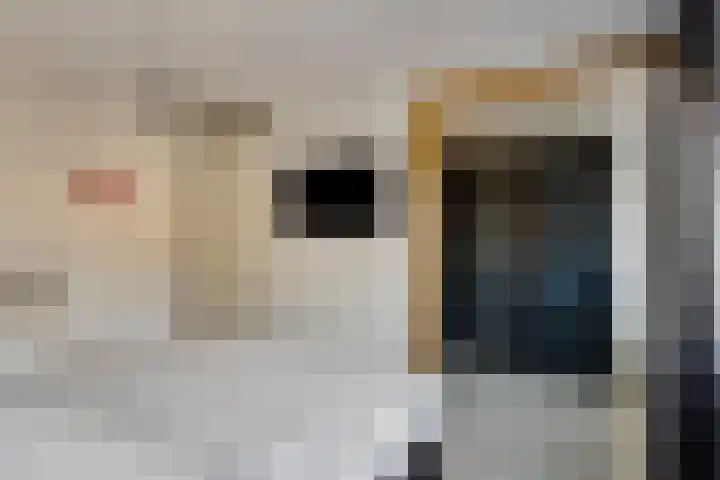 Bekerzwamsingel 6 Vleuten thumbnail 20