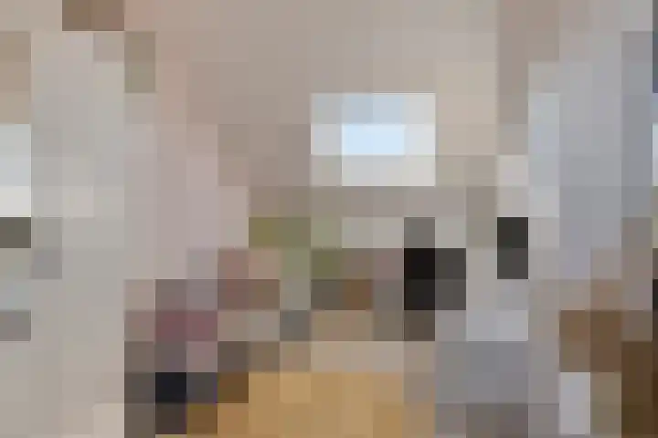 Bekerzwamsingel 6 Vleuten thumbnail 28