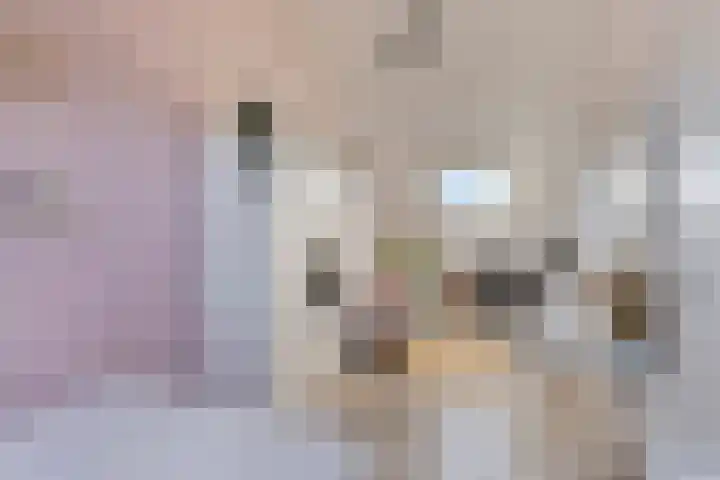 Bekerzwamsingel 6 Vleuten thumbnail 29