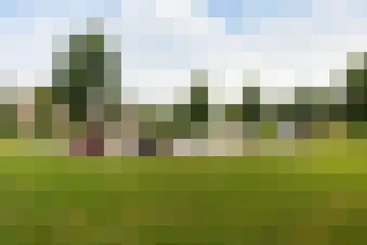 Bekerzwamsingel 6 Vleuten thumbnail 38