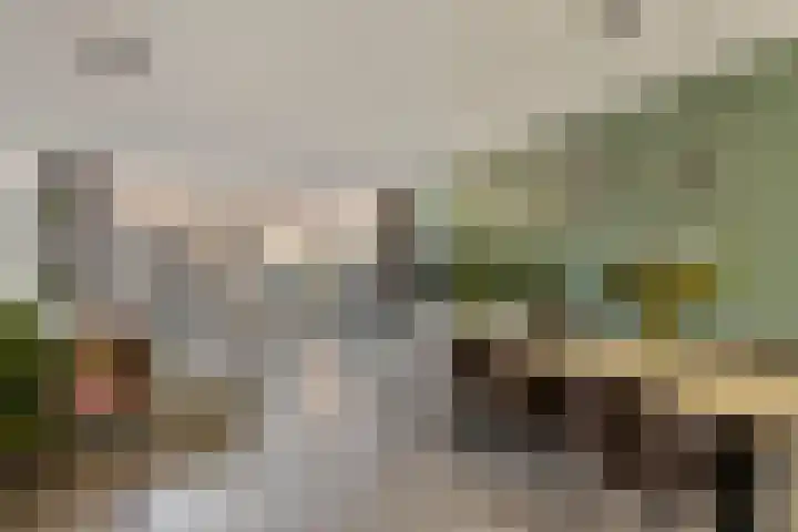 Bekerzwamsingel 6 Vleuten thumbnail 5