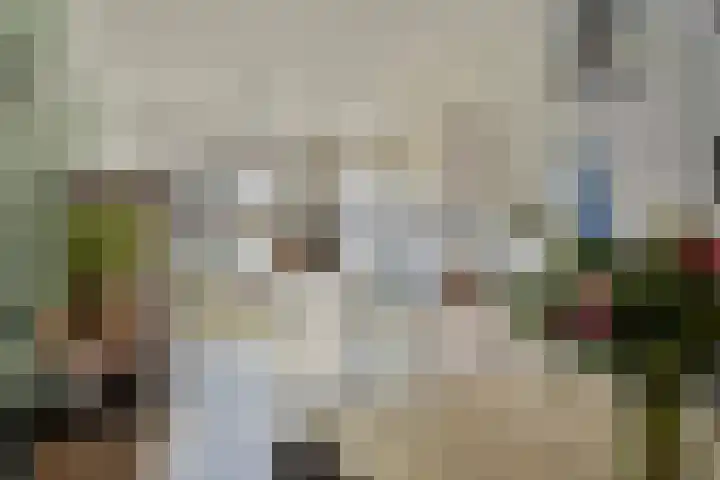 Bekerzwamsingel 6 Vleuten thumbnail 6