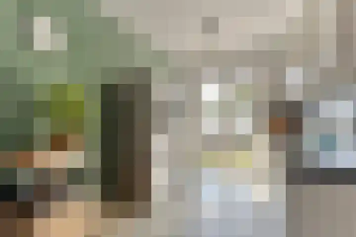 Bekerzwamsingel 6 Vleuten thumbnail 7
