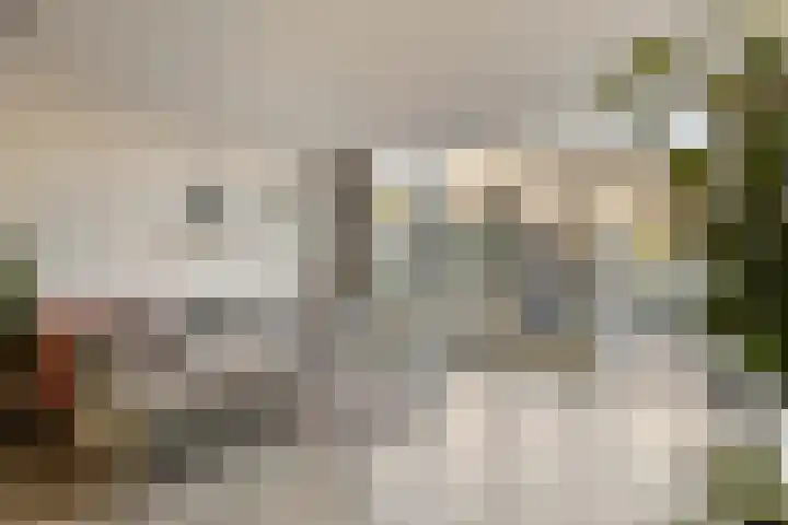 Bekerzwamsingel 6 Vleuten thumbnail 9