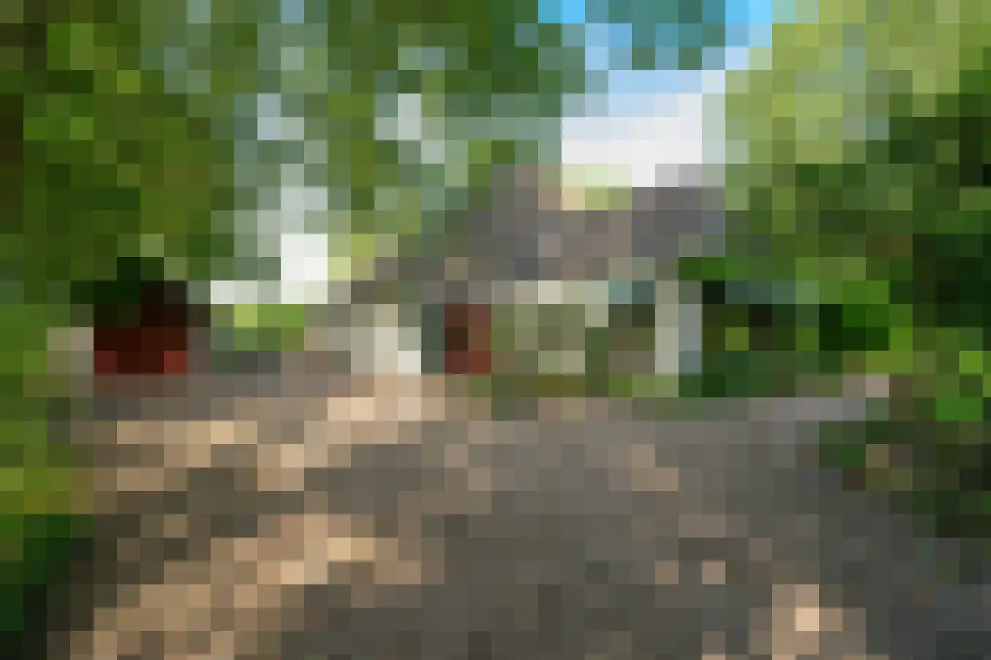Bekhofweg 12 Boijl