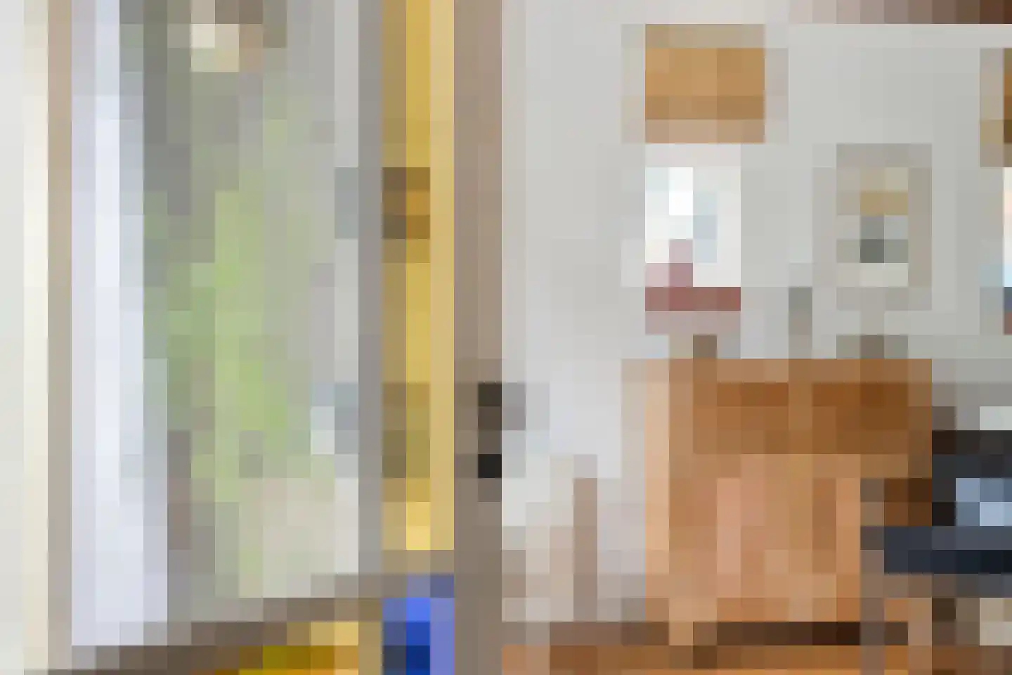 Bekhofweg 12 Boijl thumbnail 16
