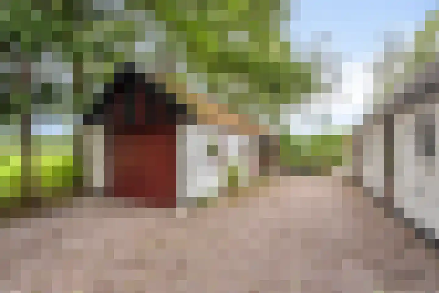 Bekhofweg 12 Boijl thumbnail 34