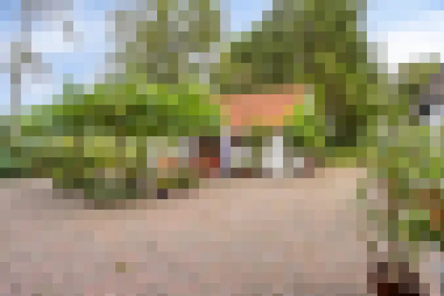 Bekhofweg 12 Boijl thumbnail 35