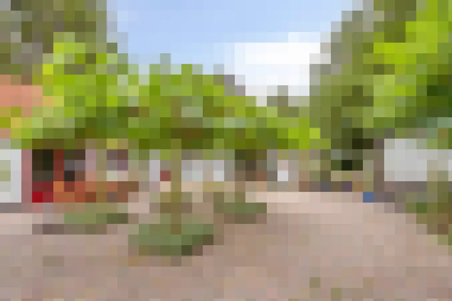 Bekhofweg 12 Boijl thumbnail 36