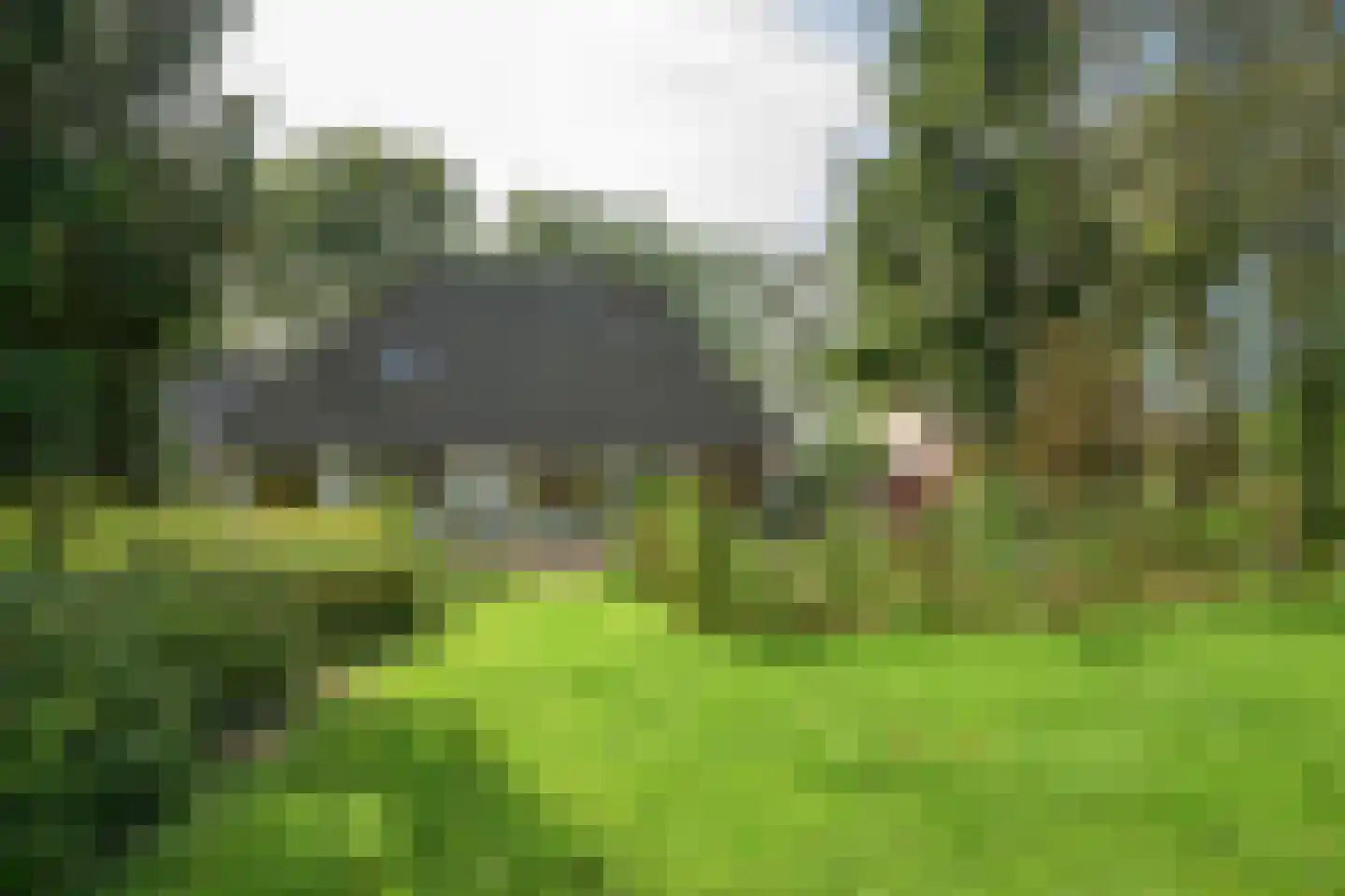 Bekhofweg 12 Boijl thumbnail 4
