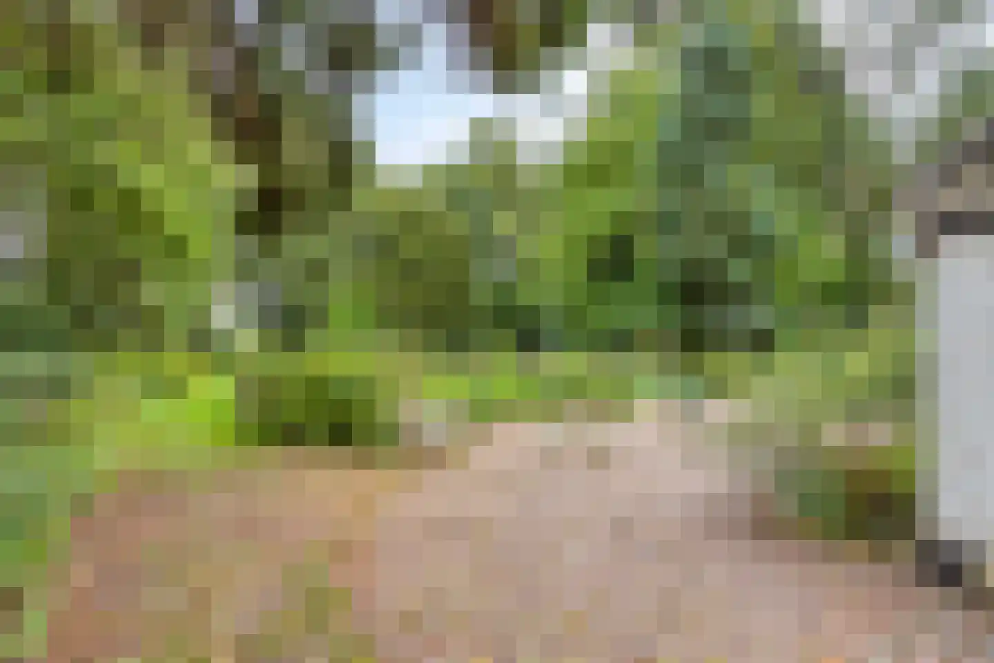 Bekhofweg 12 Boijl thumbnail 41