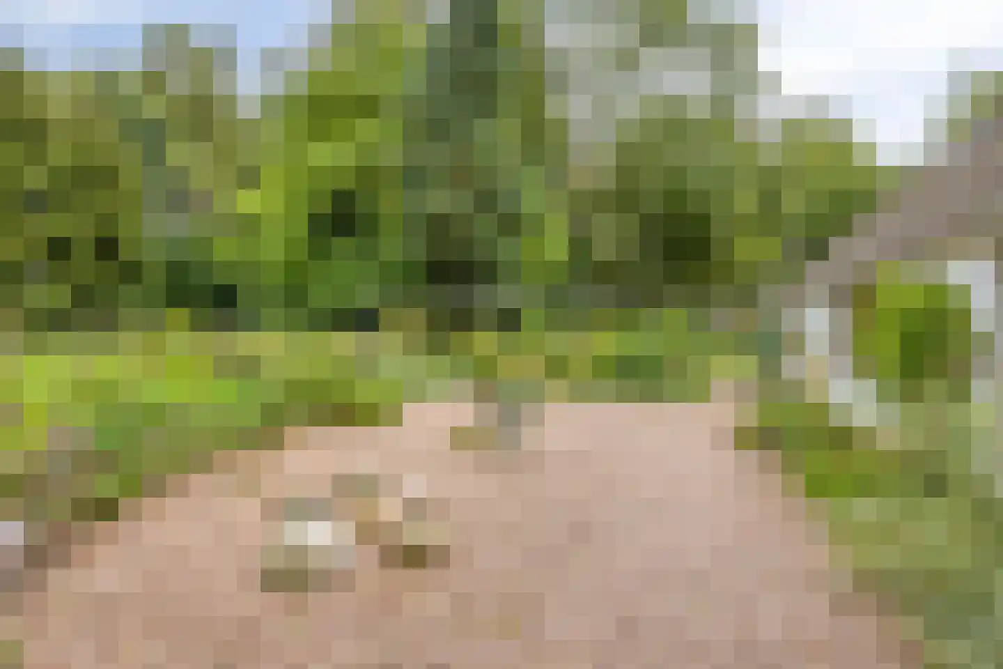 Bekhofweg 12 Boijl thumbnail 42