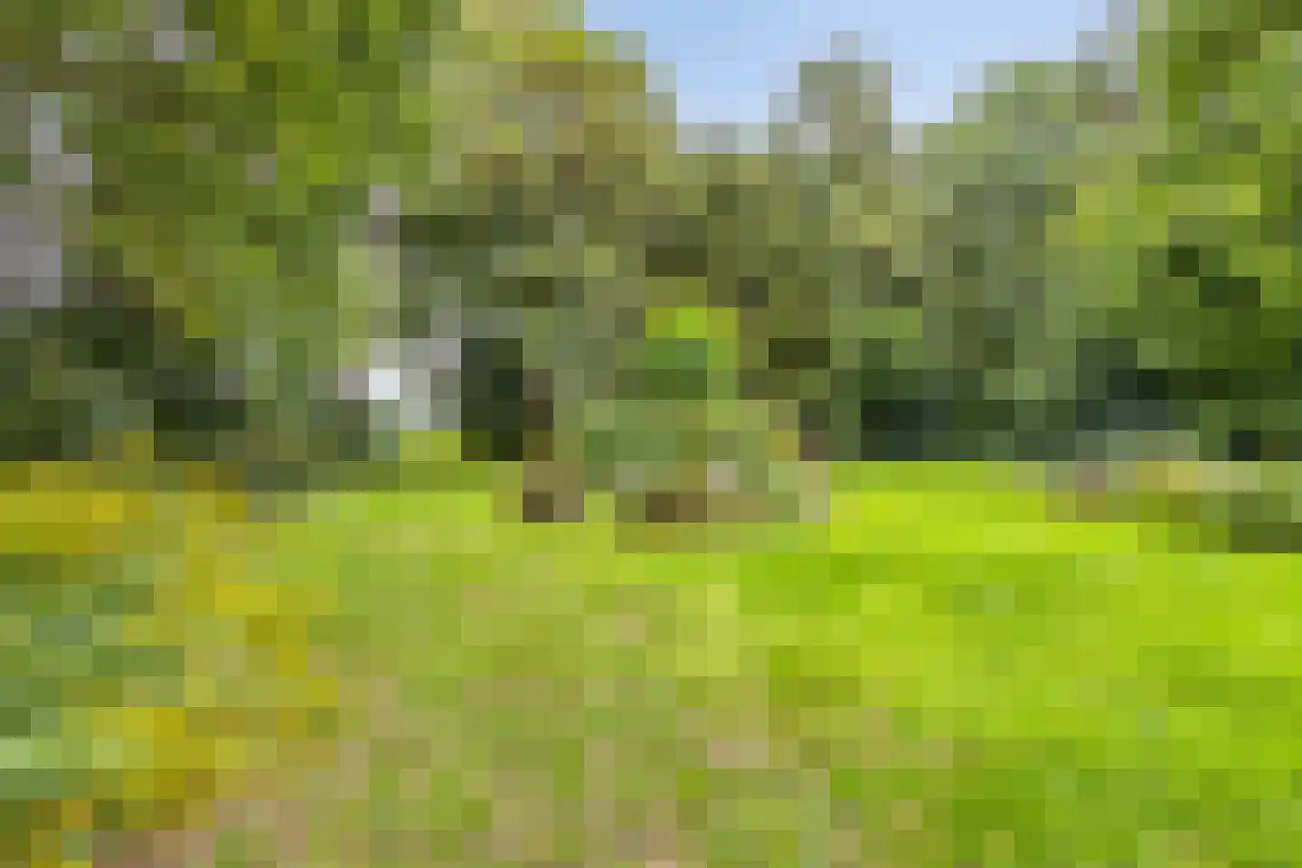 Bekhofweg 12 Boijl thumbnail 44