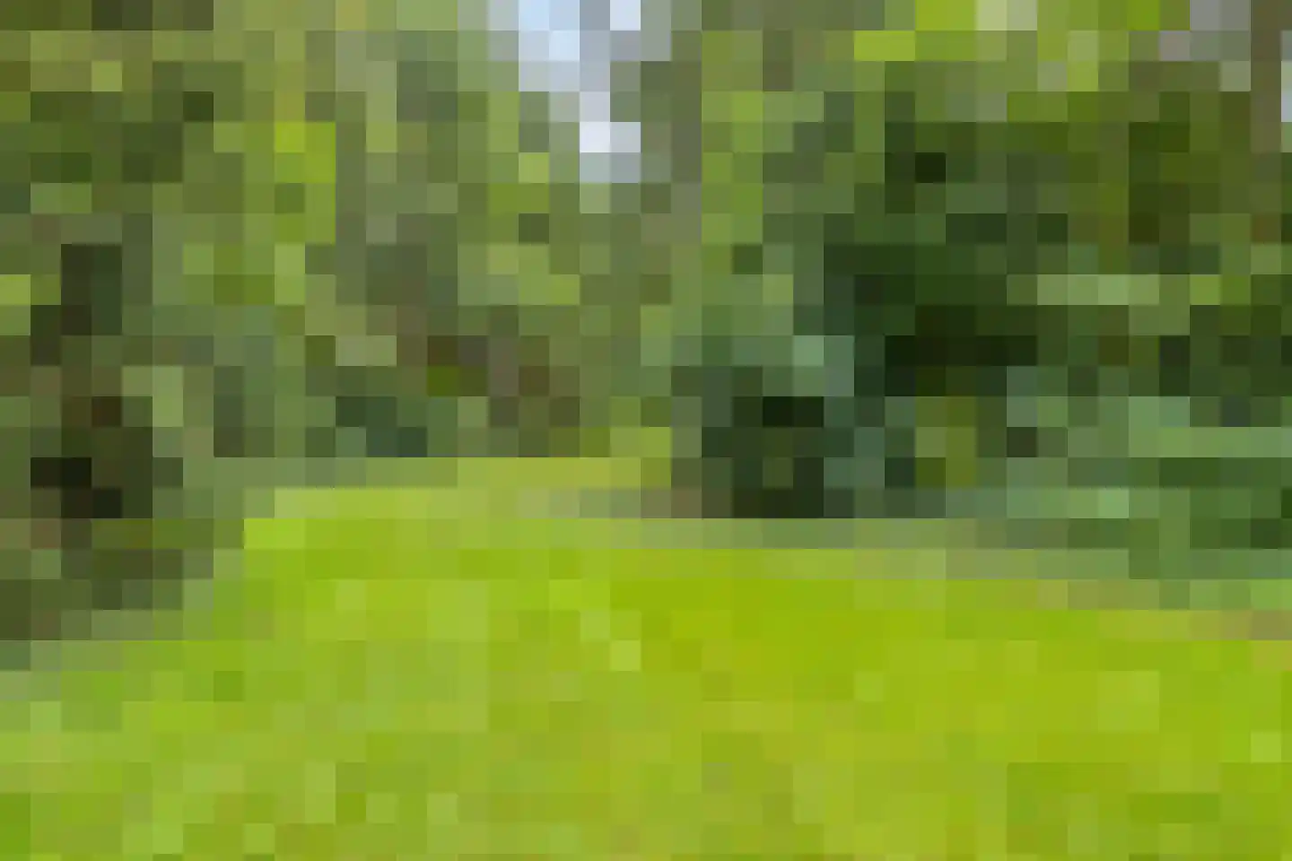 Bekhofweg 12 Boijl thumbnail 46