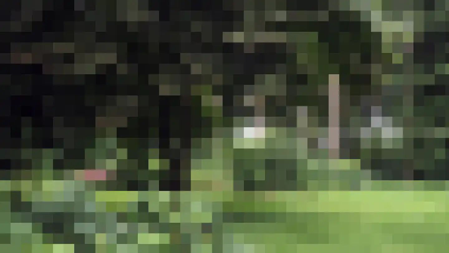 Bekhofweg 12 Boijl thumbnail 47