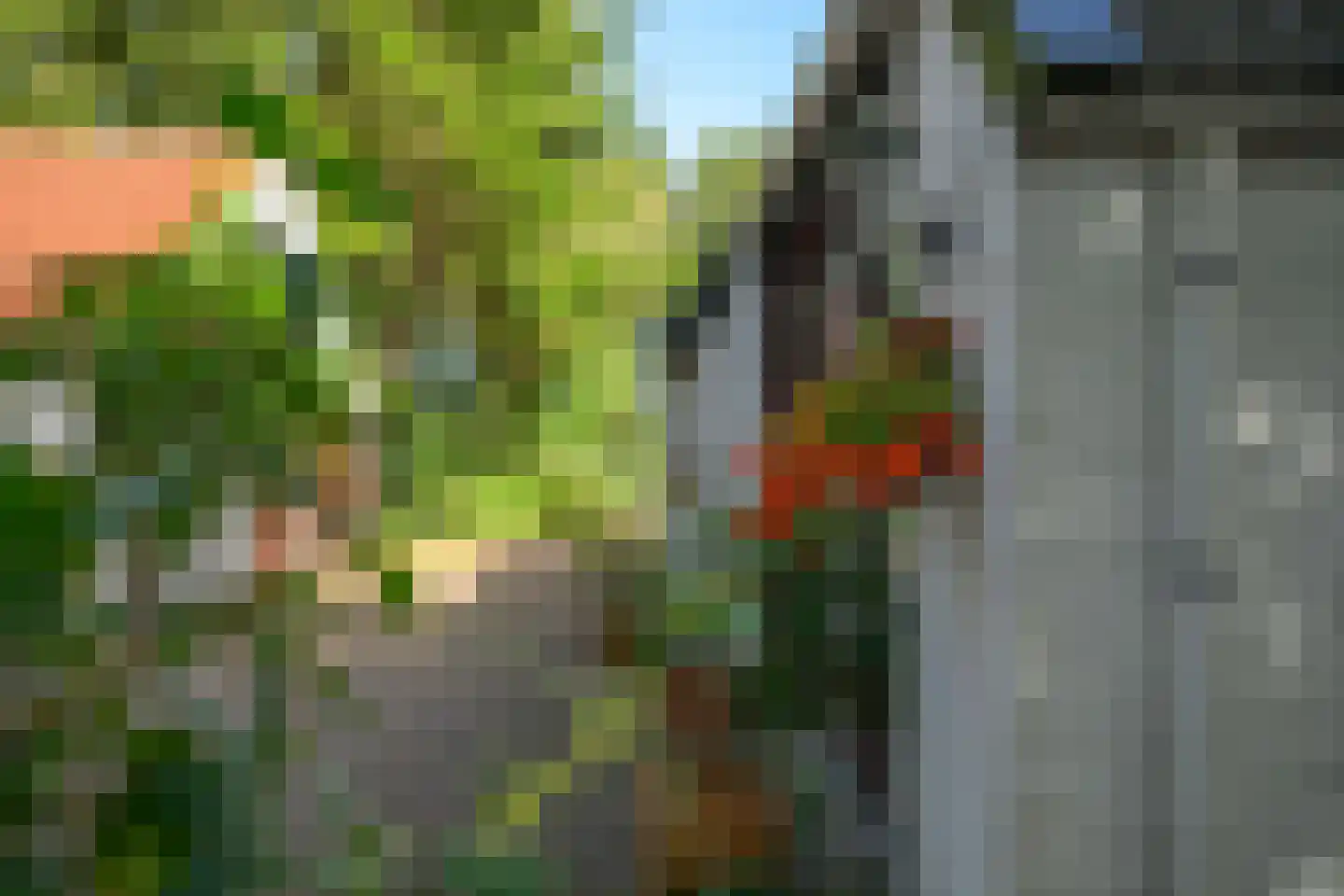 Bekhofweg 12 Boijl thumbnail 55
