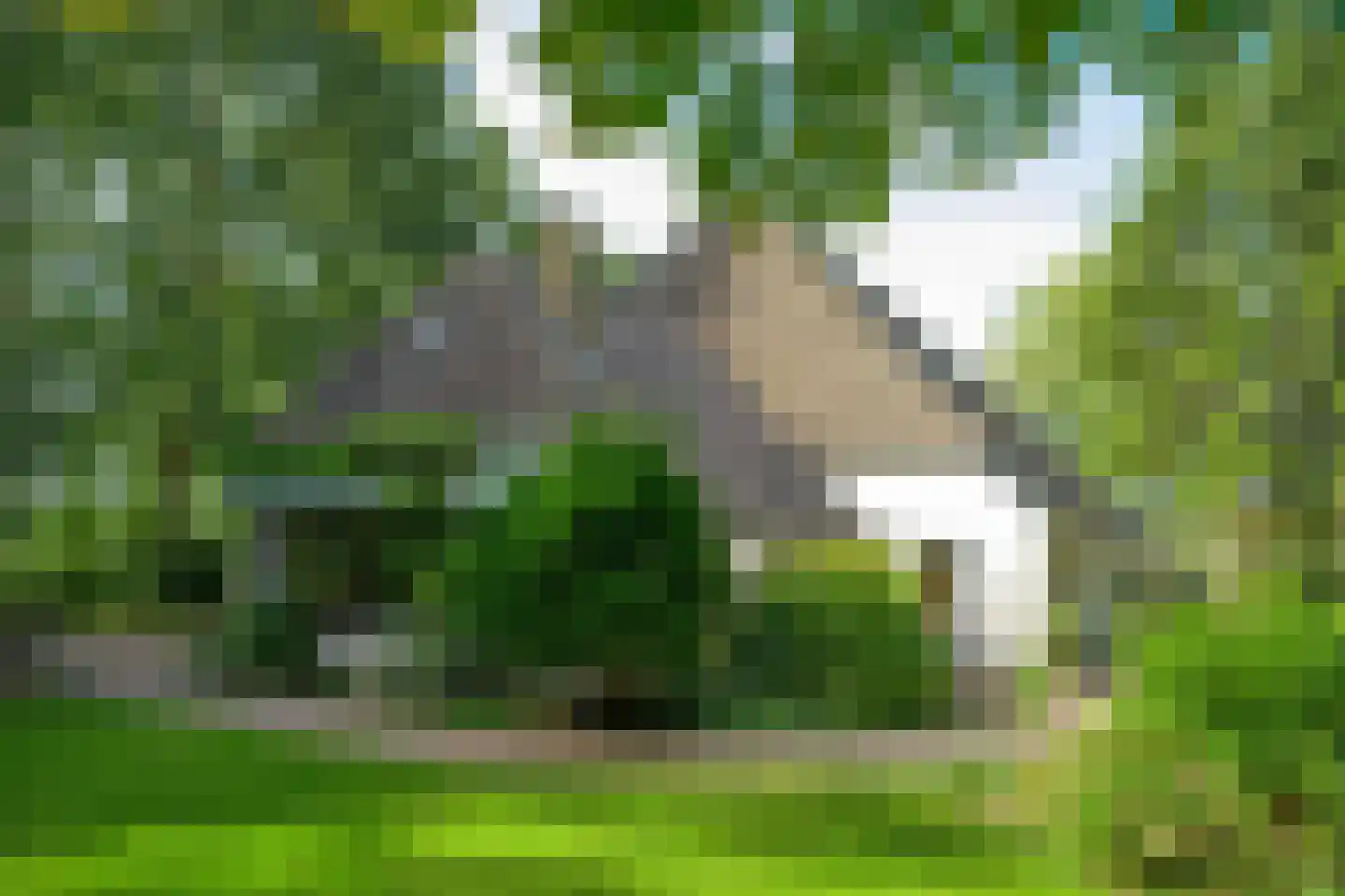 Bekhofweg 12 Boijl thumbnail 57