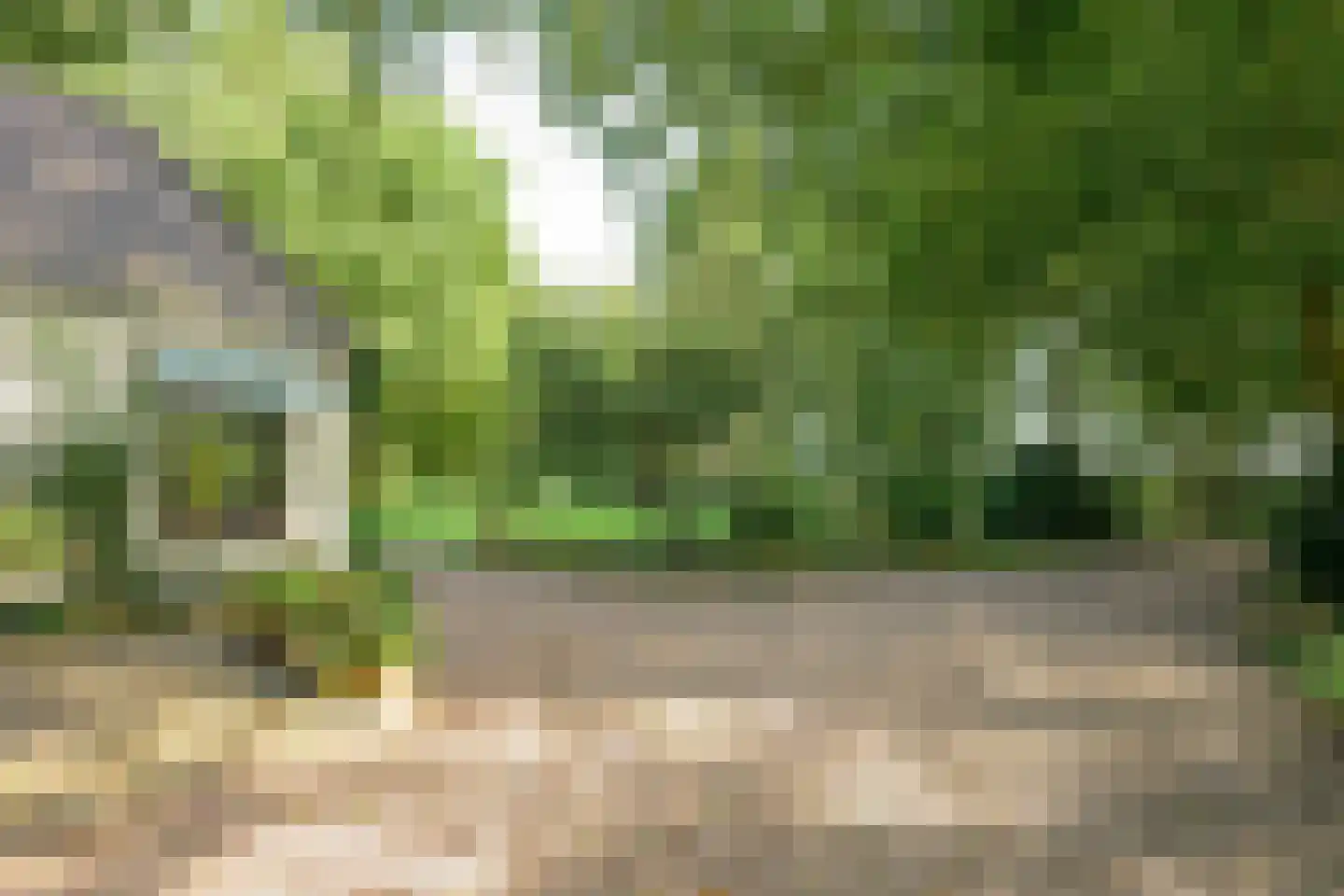 Bekhofweg 12 Boijl thumbnail 59