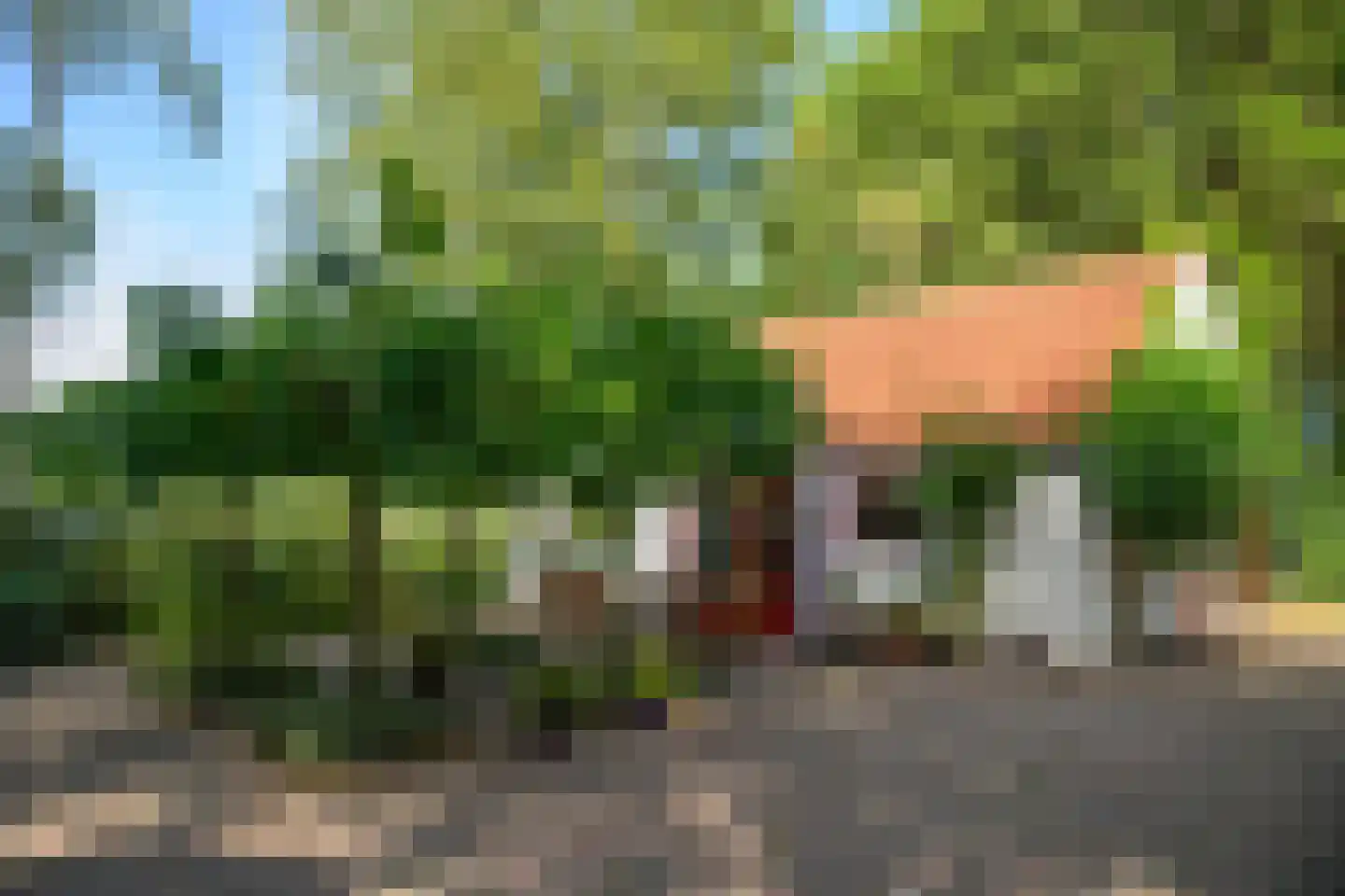 Bekhofweg 12 Boijl thumbnail 6