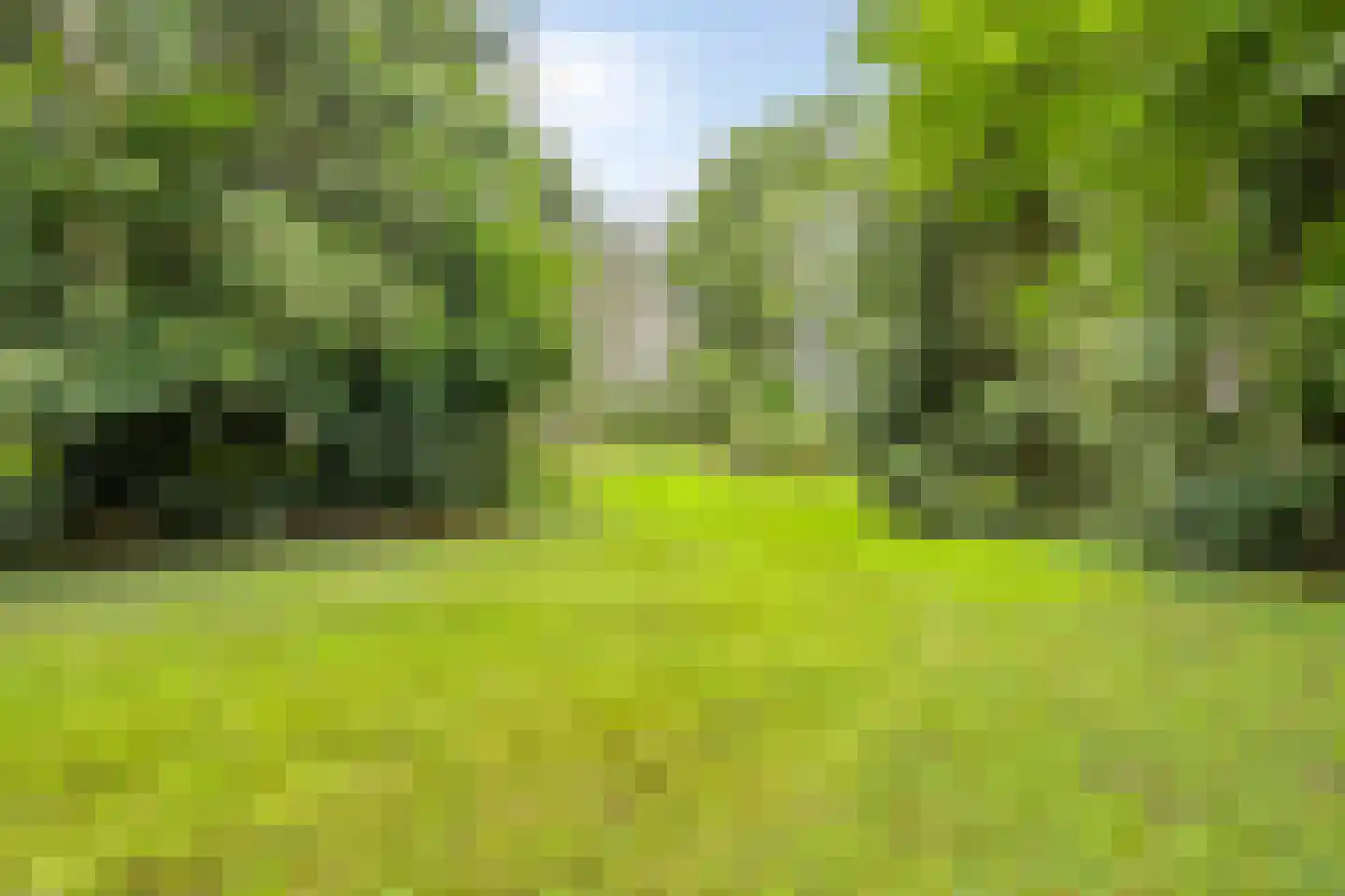 Bekhofweg 12 Boijl thumbnail 7
