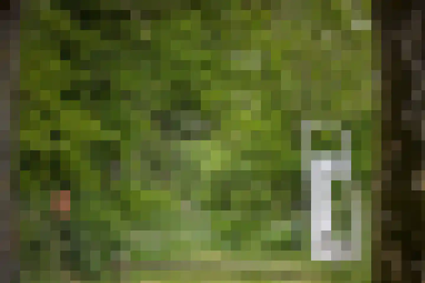 Bekhofweg 12 Boijl thumbnail 71