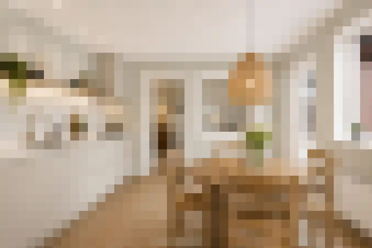 Bekkampstraat 12 Hengevelde thumbnail 22